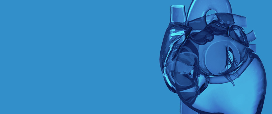 Cos'è<br>l'arresto cardiaco improvviso? Cos'è<br>l'arresto cardiaco improvviso?